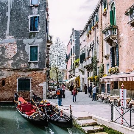 Albagaia * Venise
